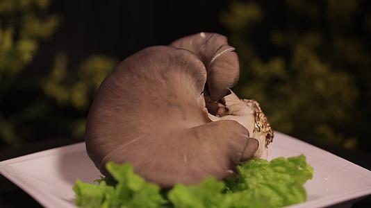 蘑菇平菇视频的预览图