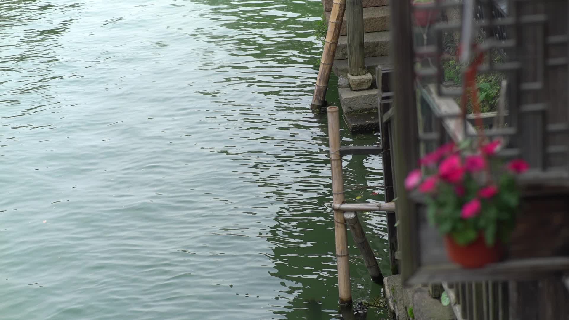 浙江嘉兴乌镇水乡风景视频的预览图