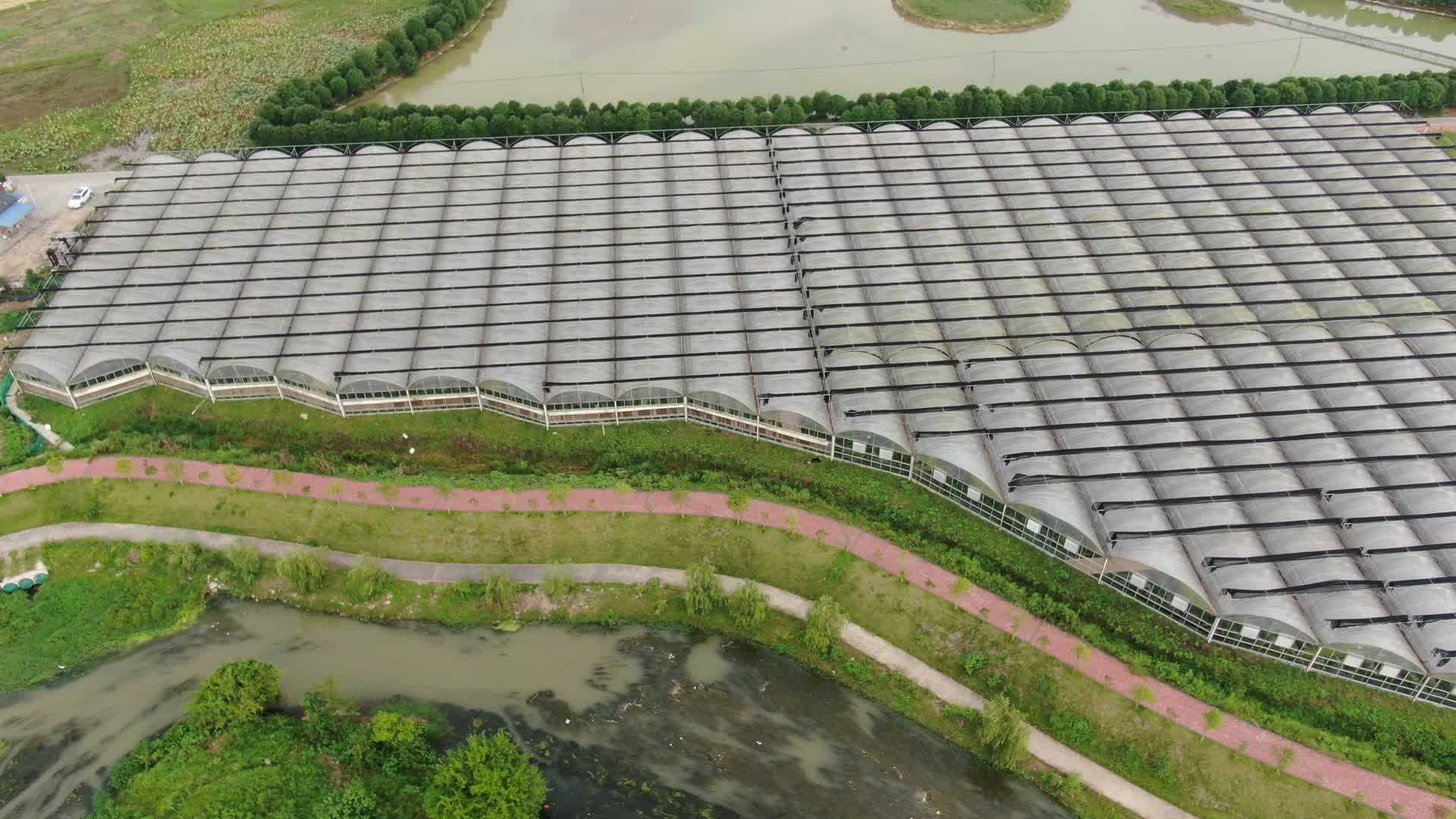 航拍现代农业大棚种植基地视频的预览图