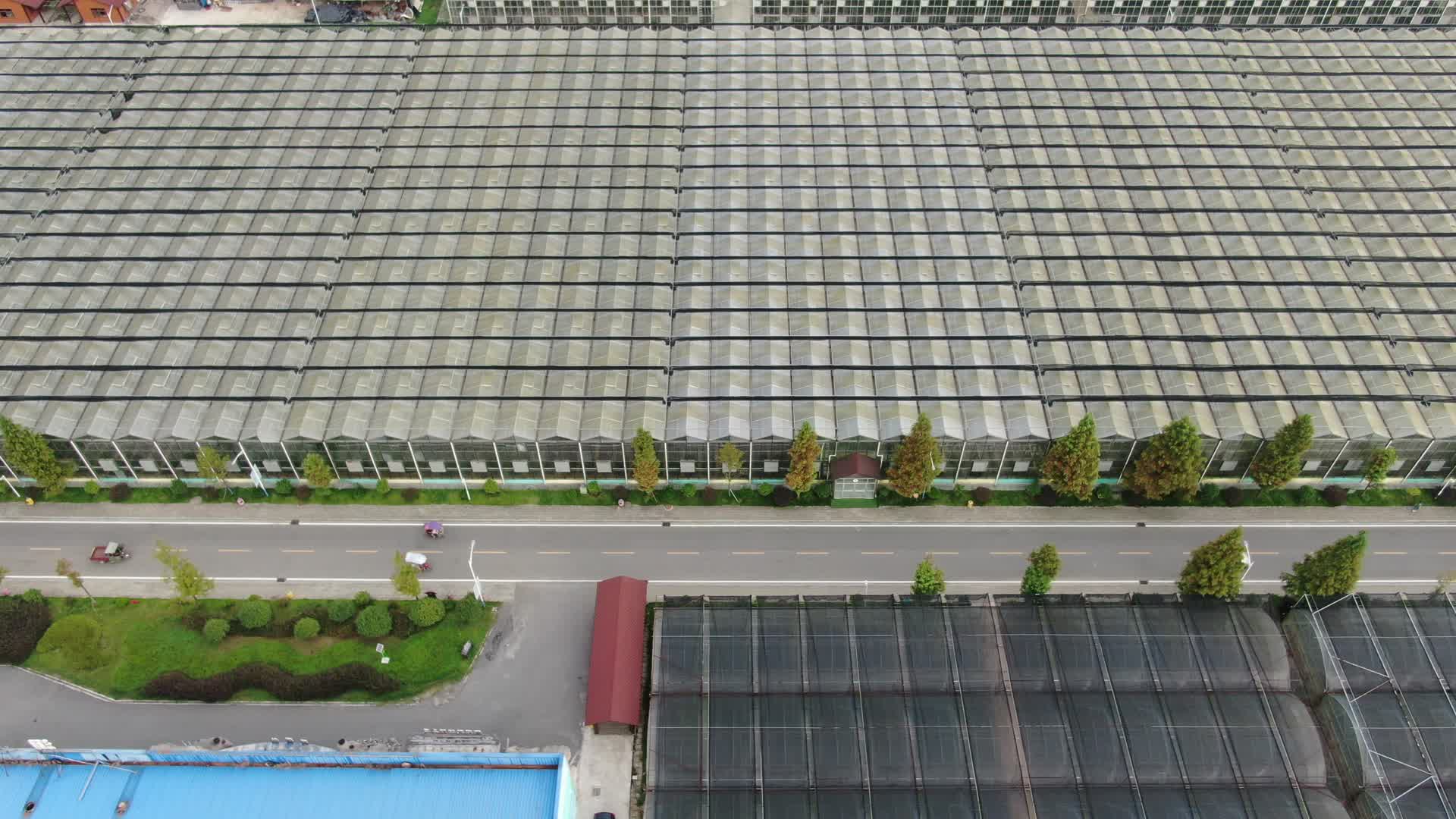 航拍现代农业大棚种植基地视频的预览图