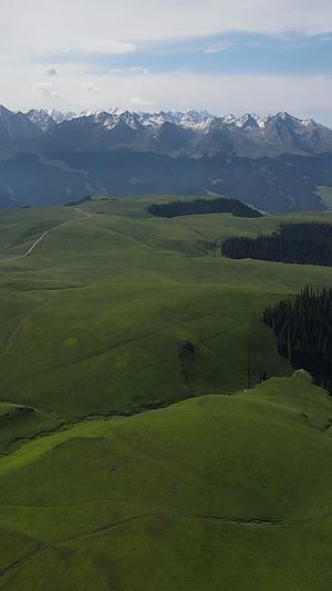 新疆伊犁喀拉峻大草原自然风光4k竖拍视频的预览图