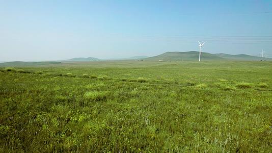 内蒙古秋天的草原及草原上盛开的柳兰花午后5k超高清航拍视频视频的预览图