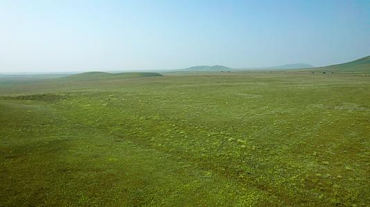 内蒙古秋天的草原及草原上盛开的柳兰花午后5k超高清航拍视频视频的预览图