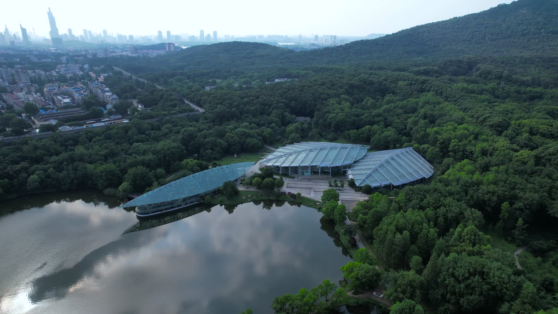 4K航拍南京地标中山植物园视频的预览图