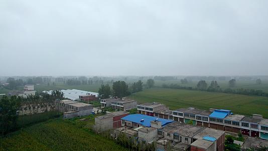 秋天安徽亳州村镇及丰收的玉米地清晨5k超高清航拍视频视频的预览图