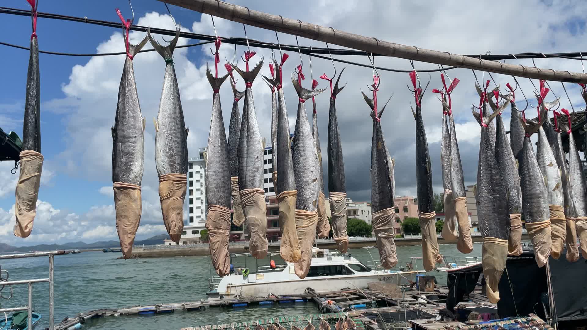 海鲜市场各种海鲜水产4K实拍视频视频的预览图
