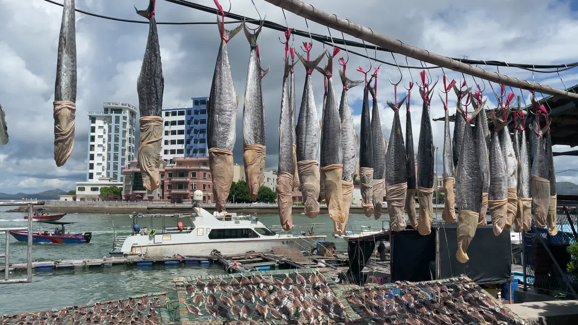 海鲜市场各种海鲜水产4K实拍视频视频的预览图