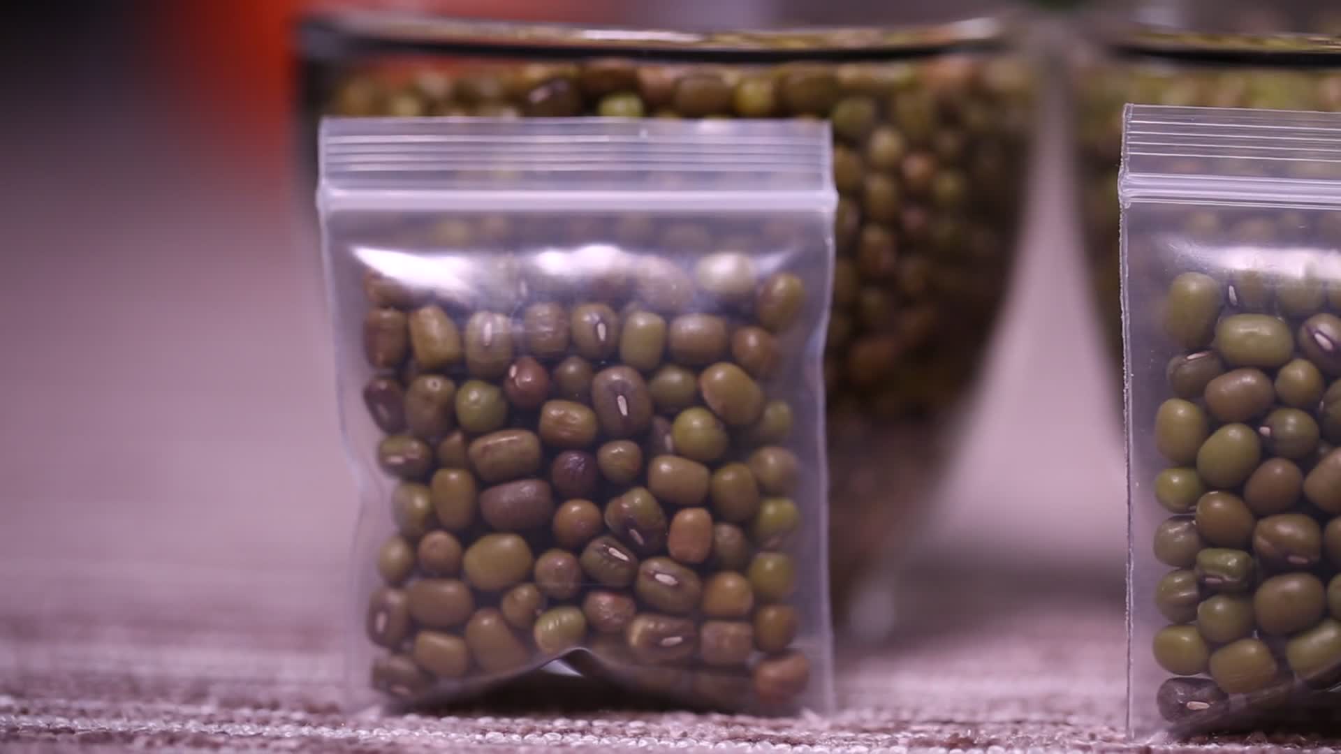 各种绿豆展示实拍视频视频的预览图