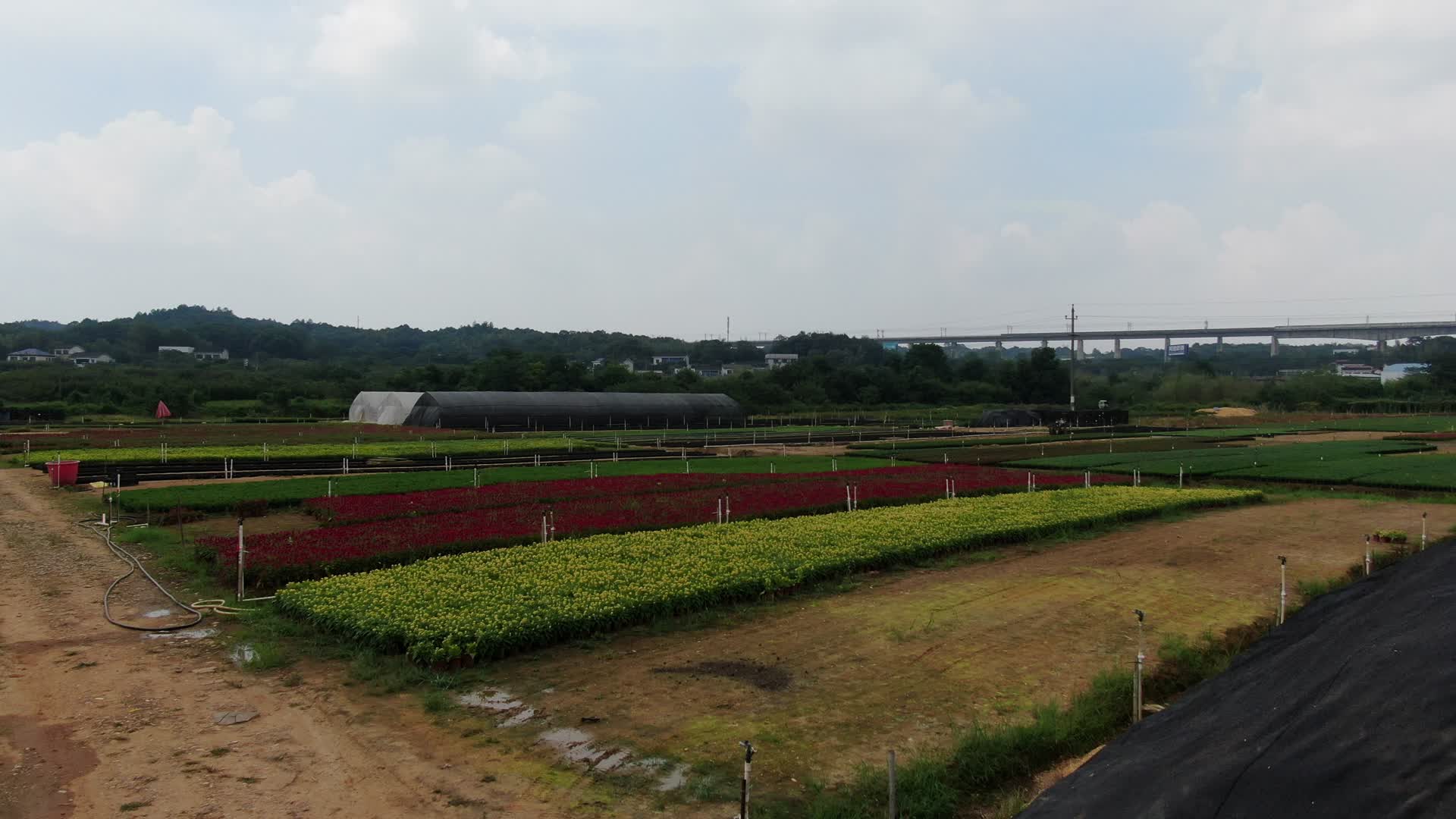 农业种植花卉苗圃航拍4K视频的预览图