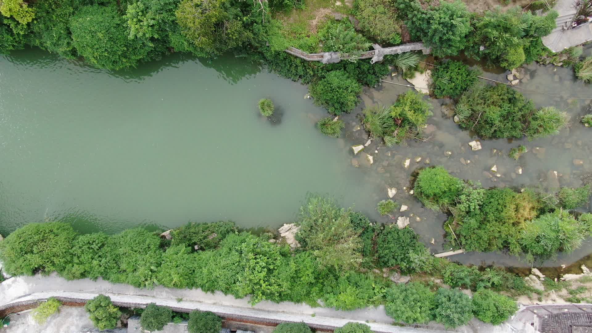 4K航拍清澈的溪流视频的预览图