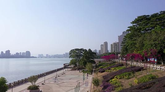 广东清远北江江边公园风景视频的预览图