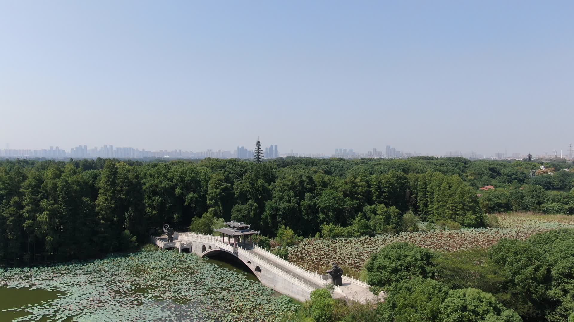 4K航拍武汉东湖落雁景区鹊桥视频的预览图