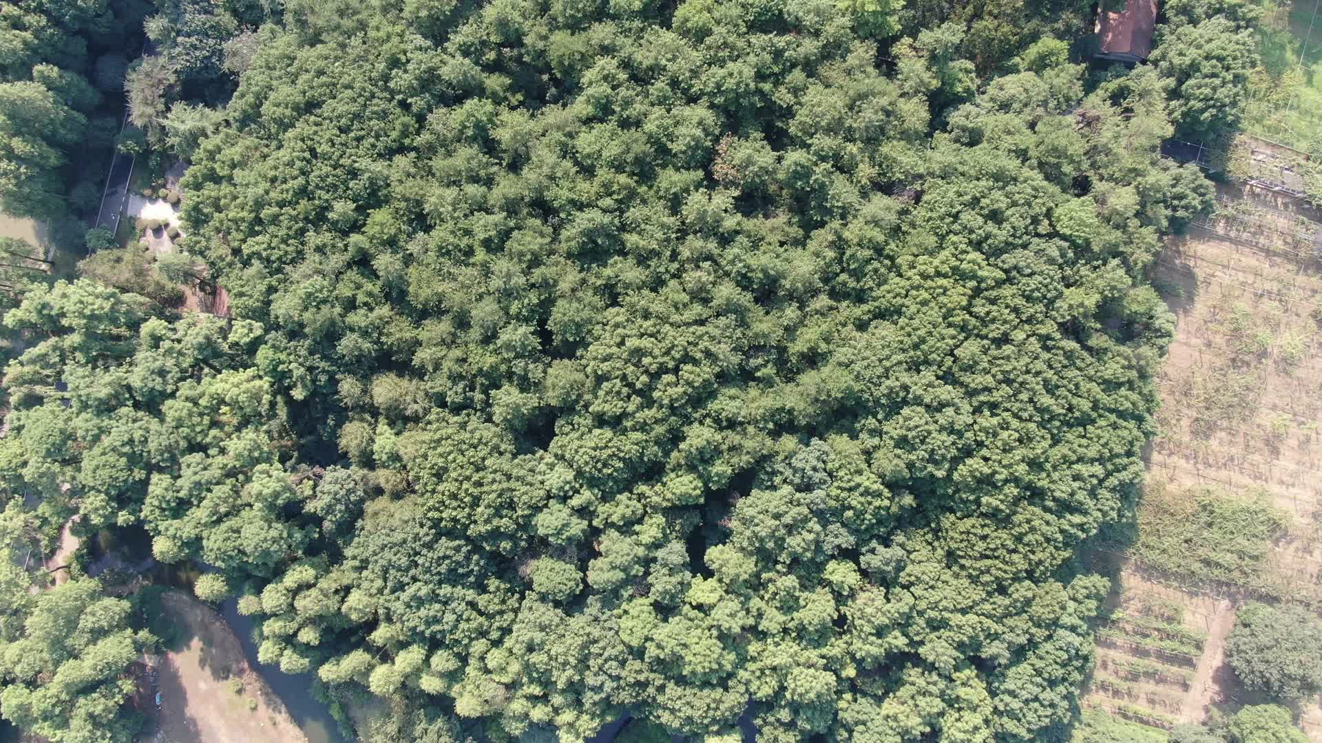 4K航拍武汉东湖武汉植物园视频的预览图