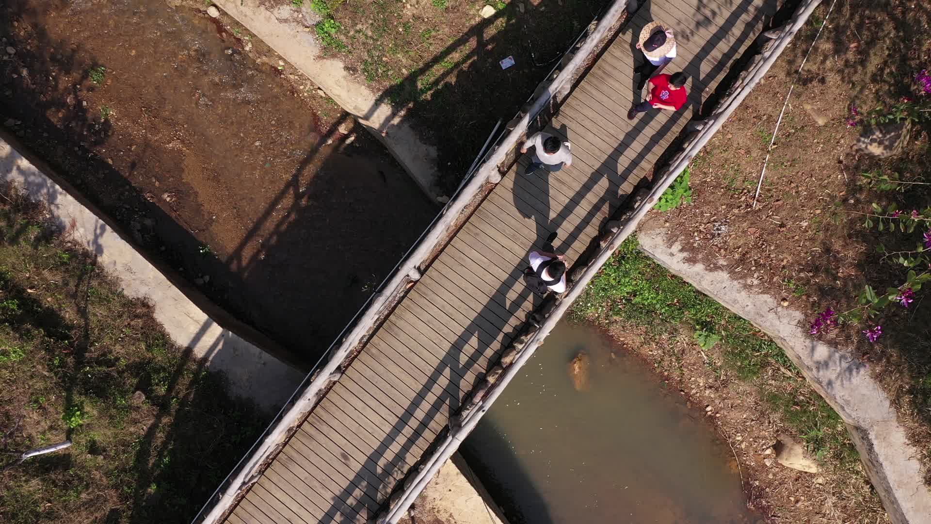 航拍景区游客走过竹桥视频的预览图
