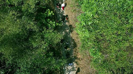 航拍景区游客爬山穿过树林视频的预览图
