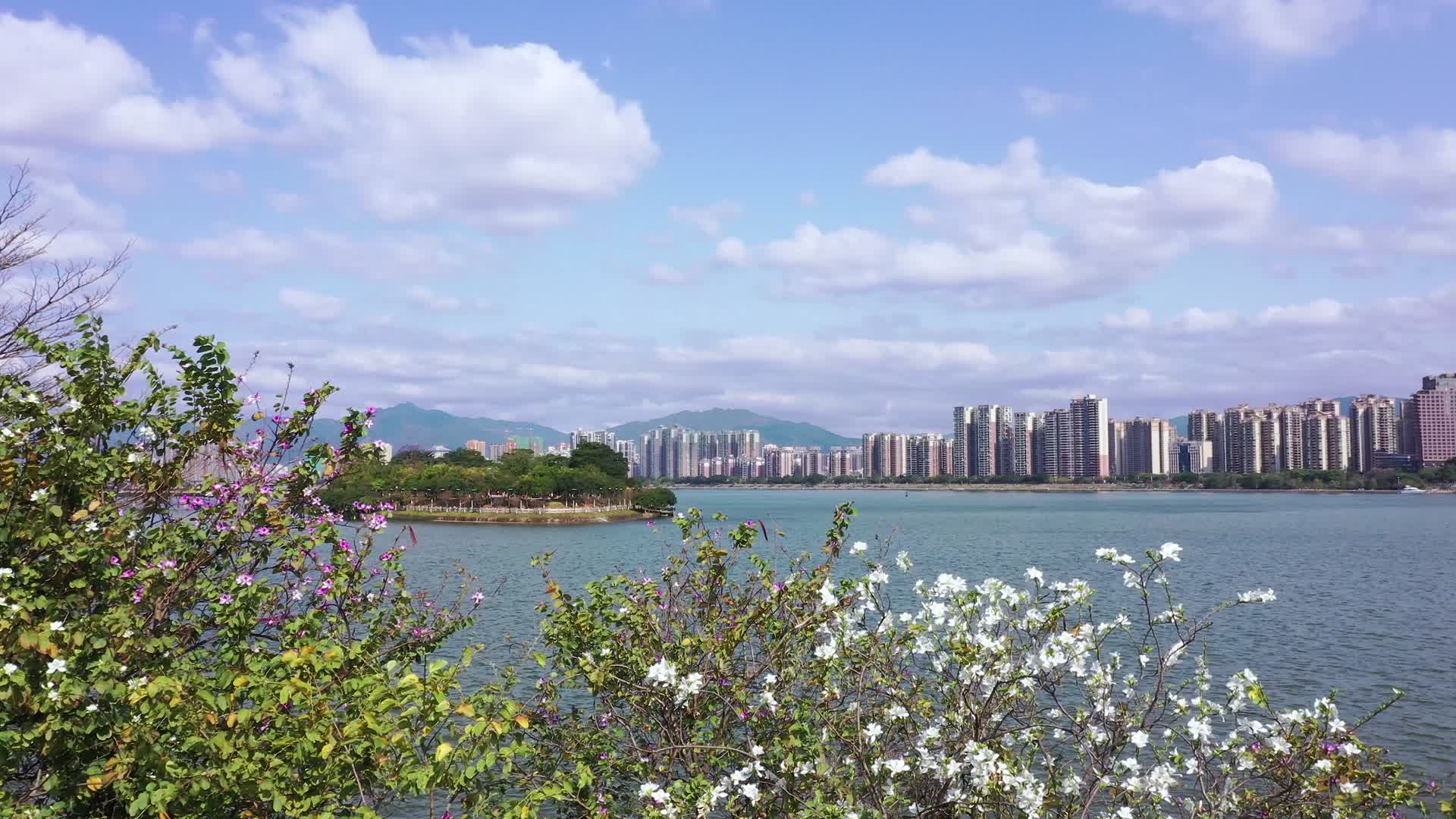 航拍广东清远北江江心岛风景视频的预览图