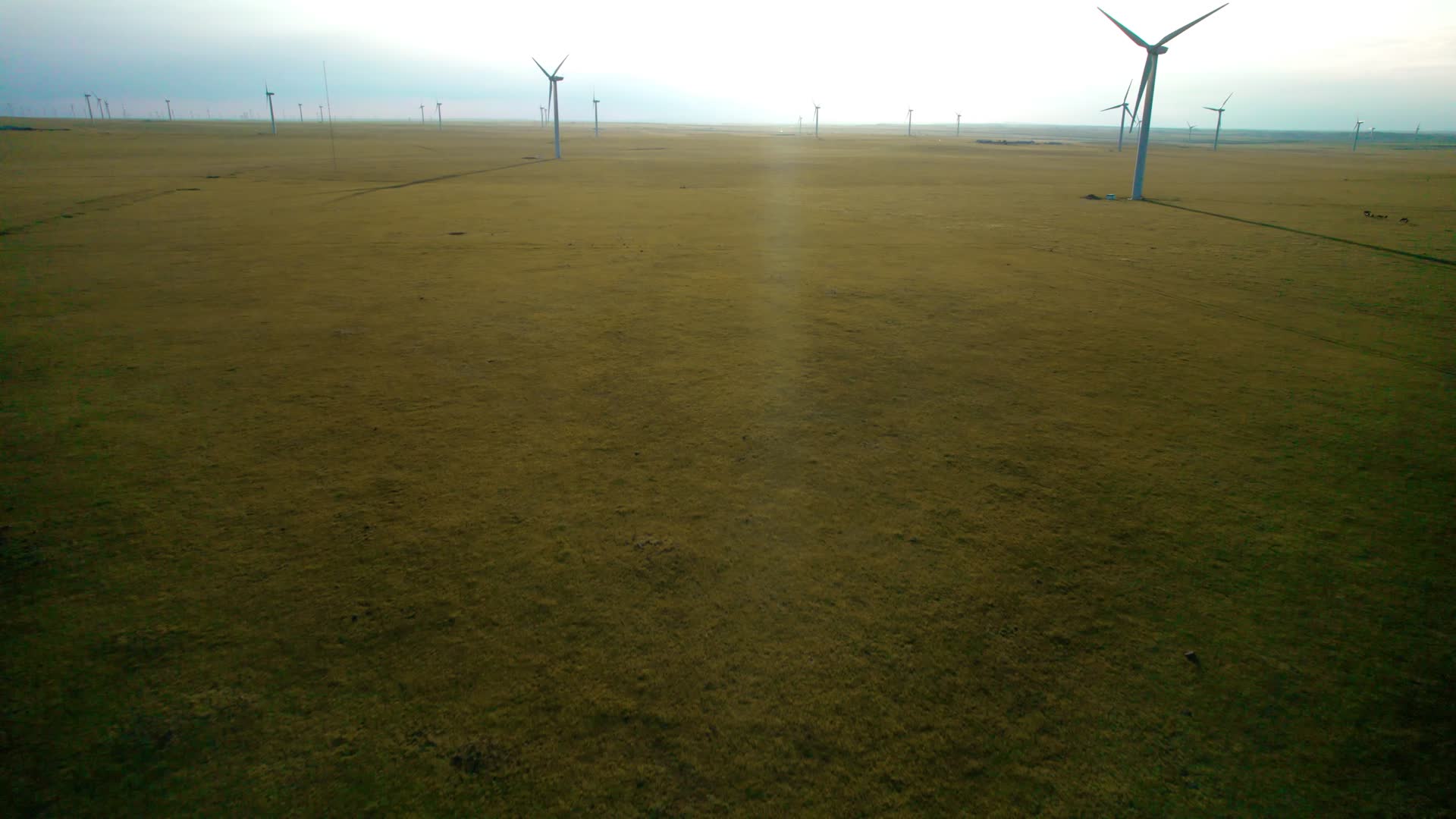 内蒙古锡林郭勒秋天的草原和发电的大风车傍晚5k超高清航拍视频视频的预览图