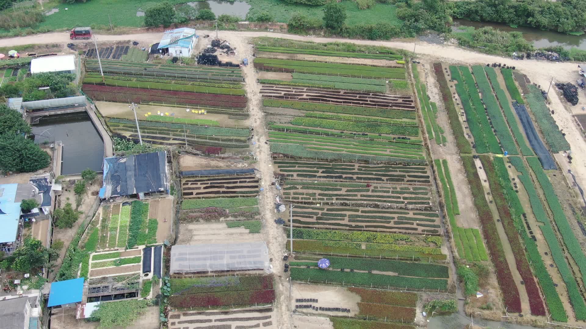 俯拍绿色农业种植基地视频的预览图