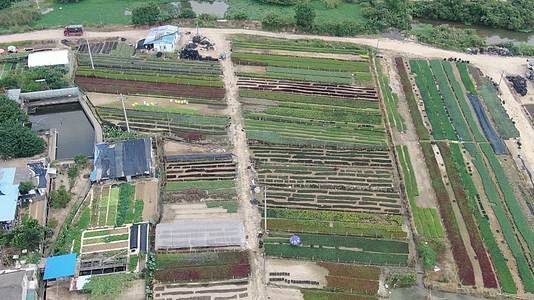俯拍绿色农业种植基地视频的预览图