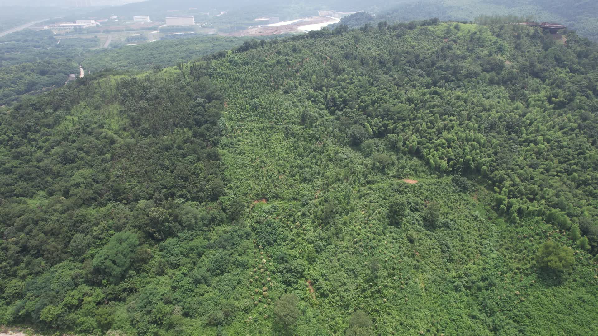4K航拍牛首山山体森林树木资源山景视频的预览图