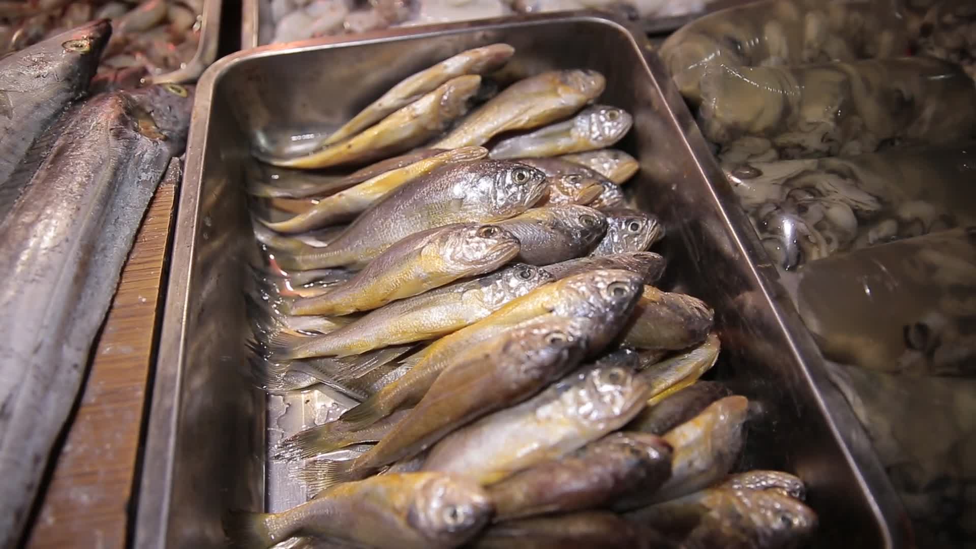 超市水产市场买鱼特写小黄鱼视频的预览图