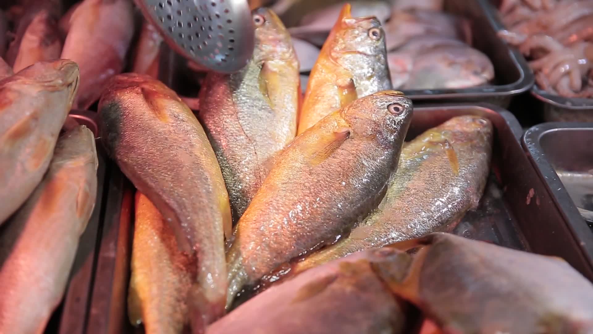 海鲜市场购买黄花鱼视频的预览图