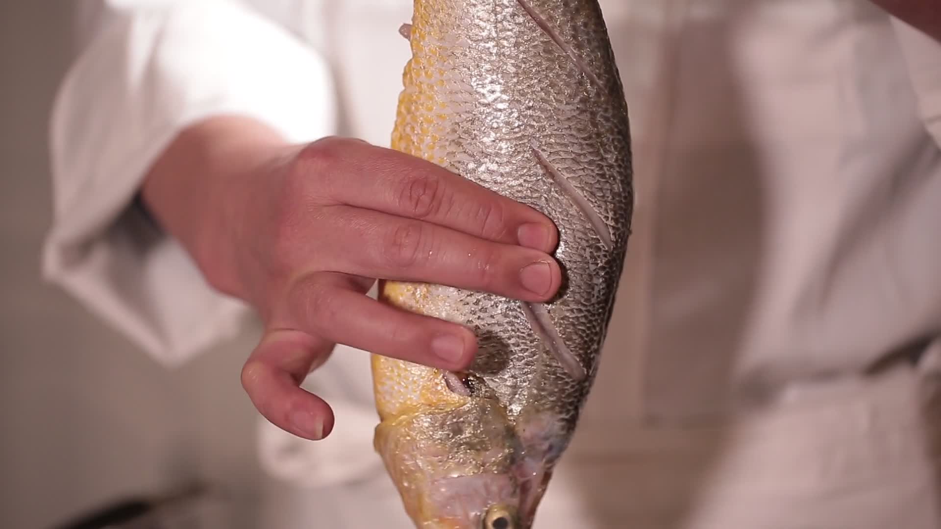 厨师拿新鲜黄花鱼视频的预览图