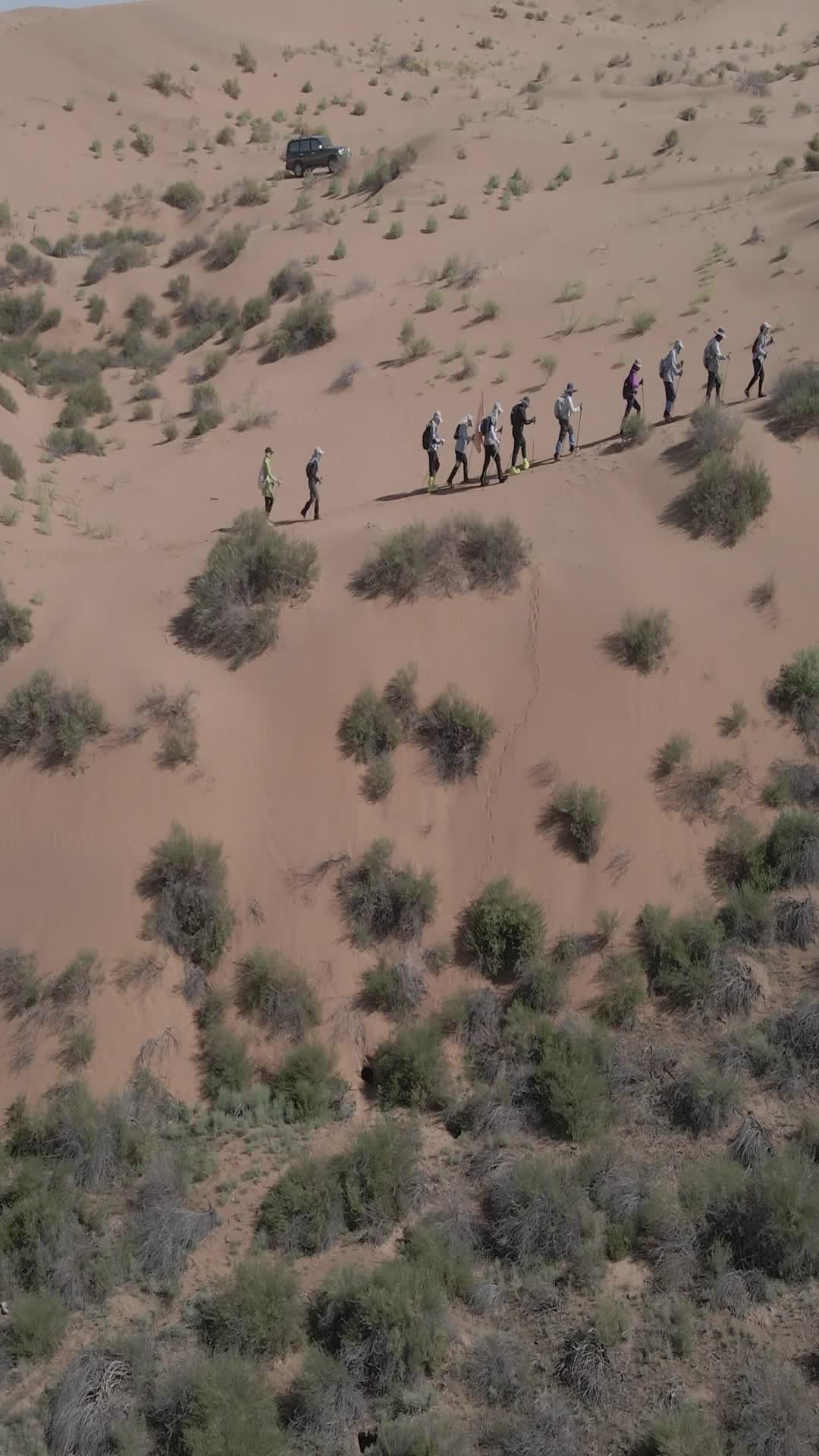 银川腾格里沙漠4k航拍竖拍视频的预览图
