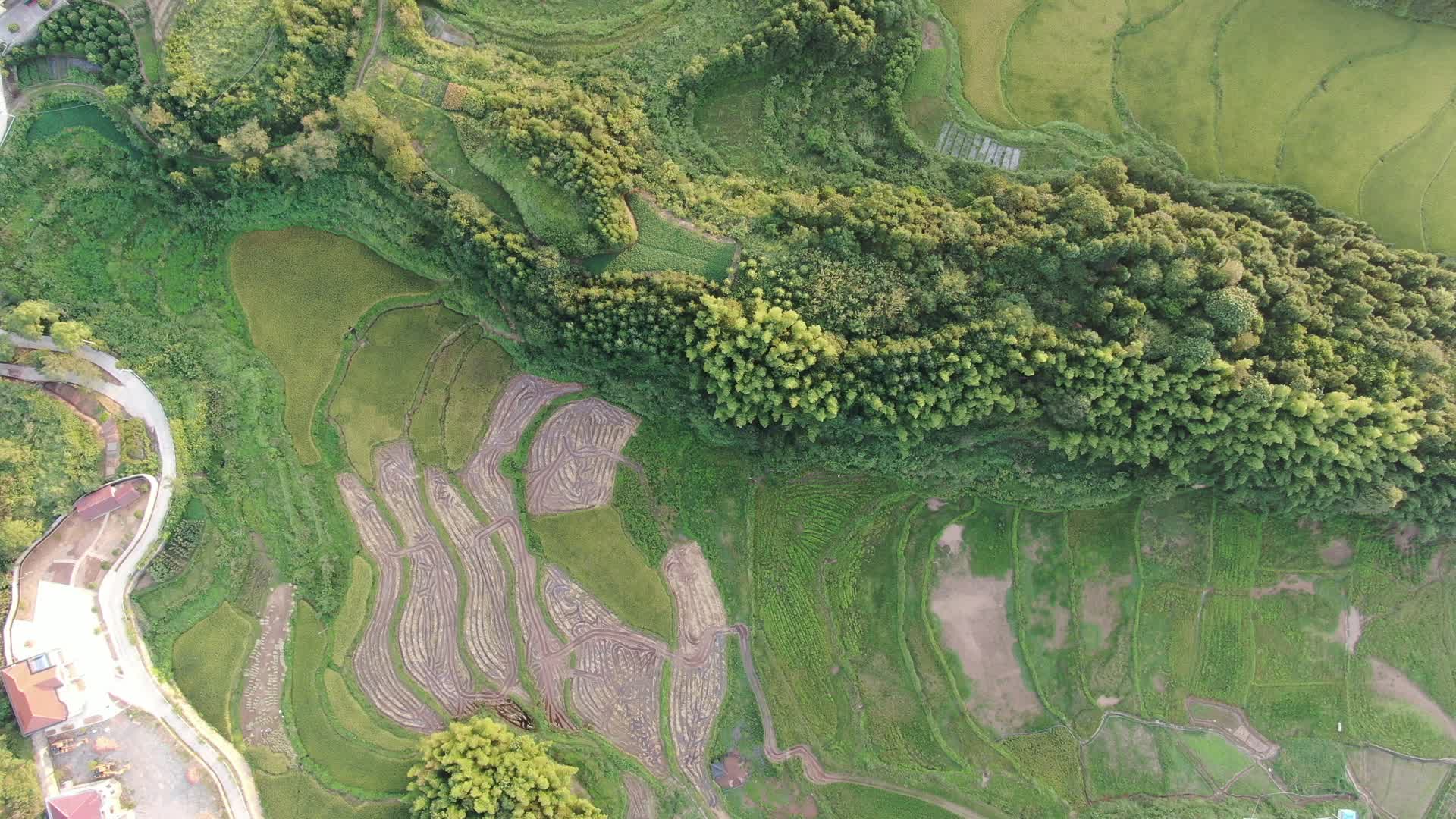 俯拍丘陵山川中的稻田视频的预览图