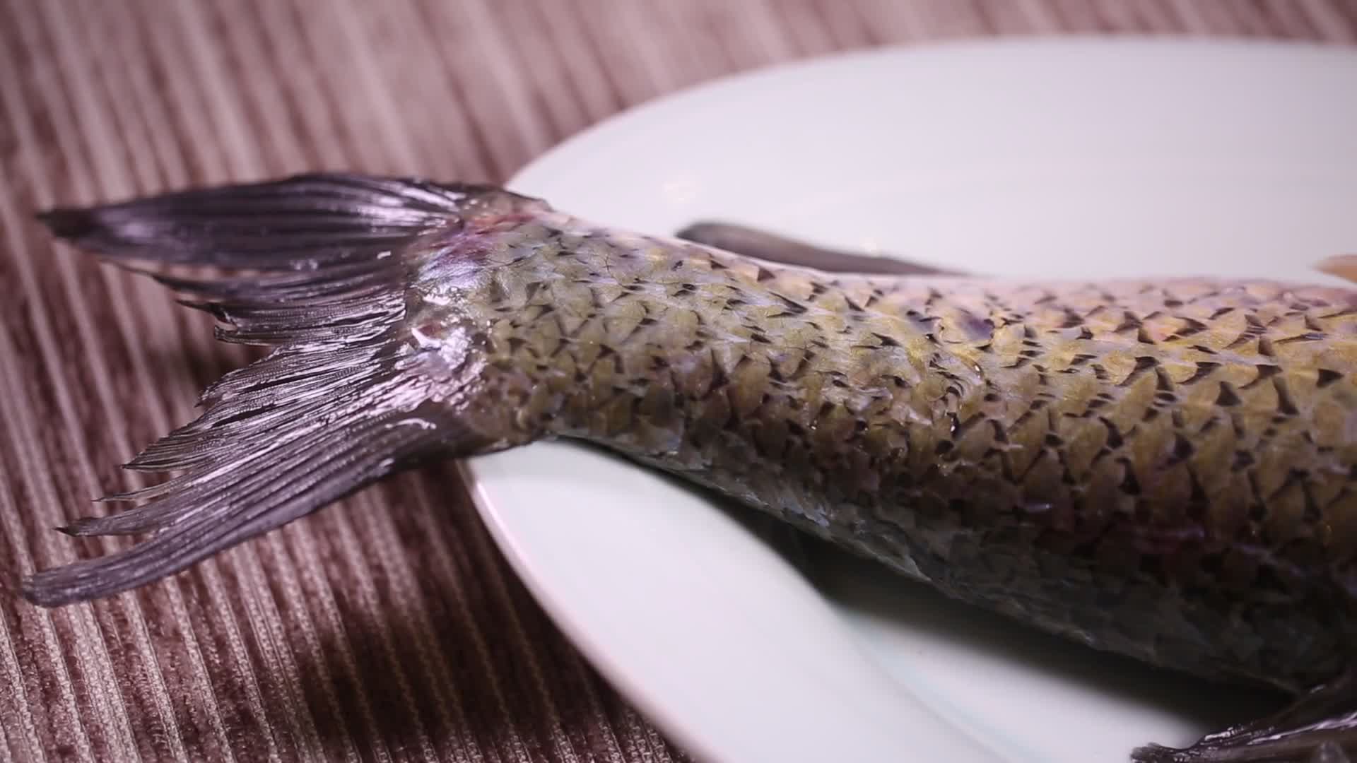 新鲜食材草鱼视频的预览图