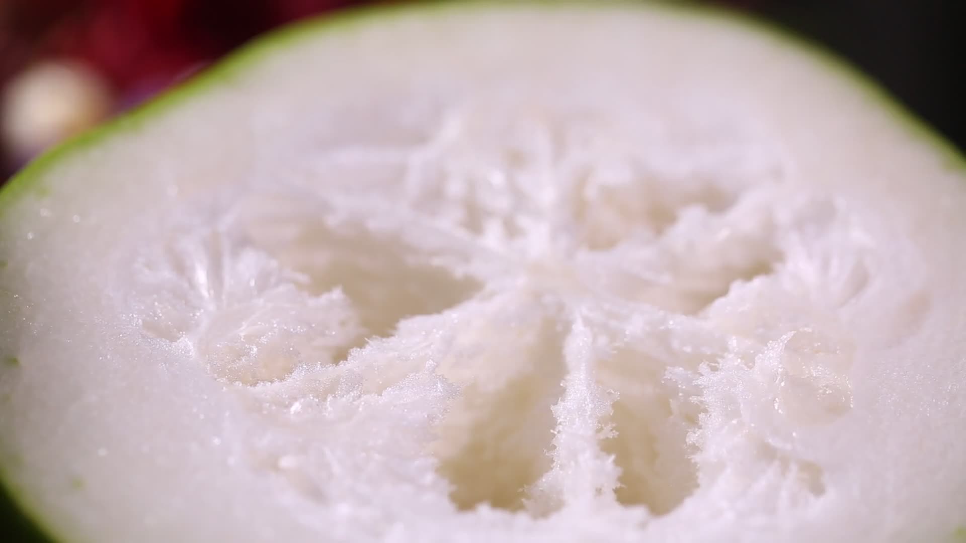 中药冬瓜瓤冬瓜子视频的预览图