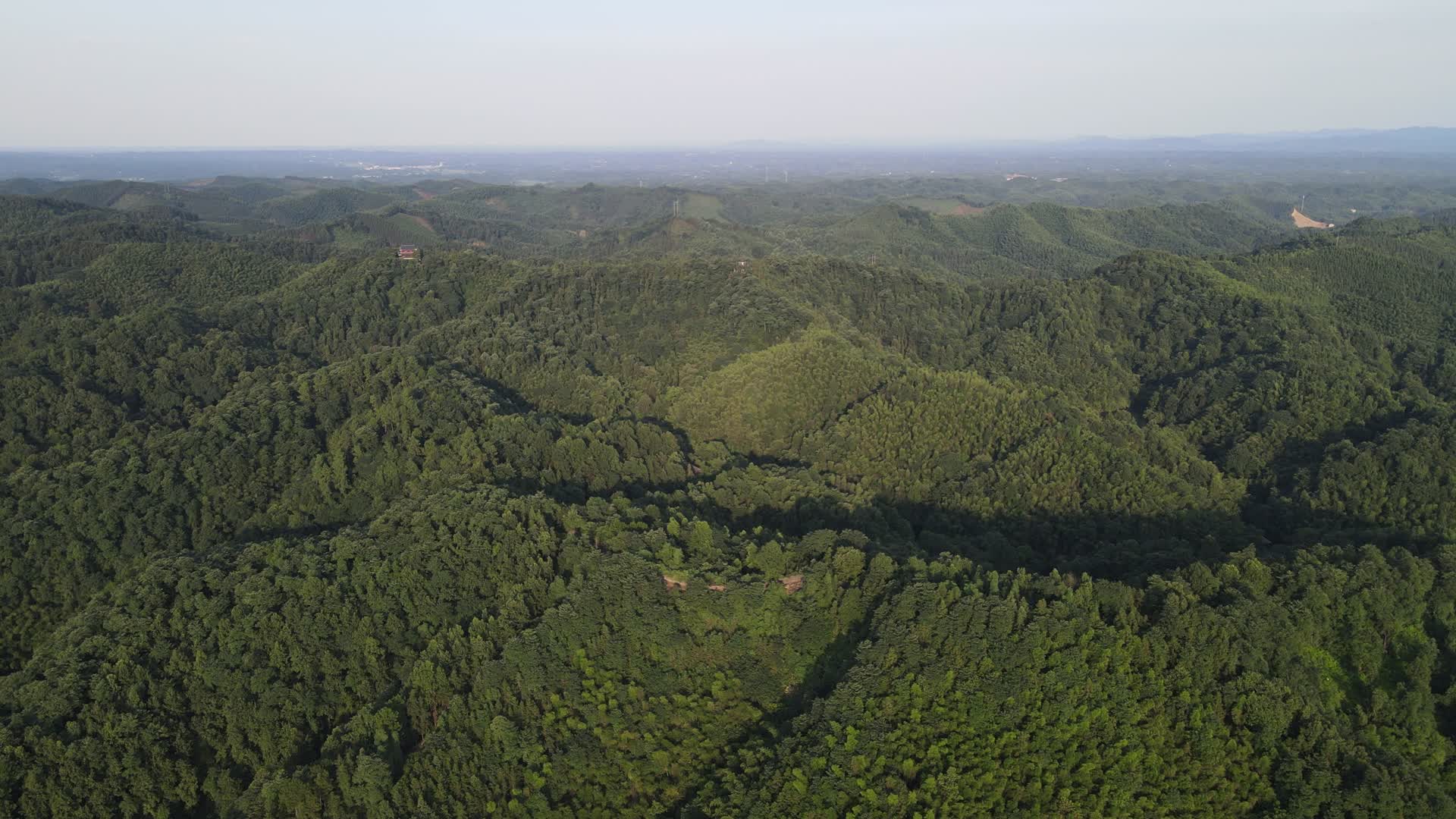 航拍大自然绿色森林植物视频的预览图