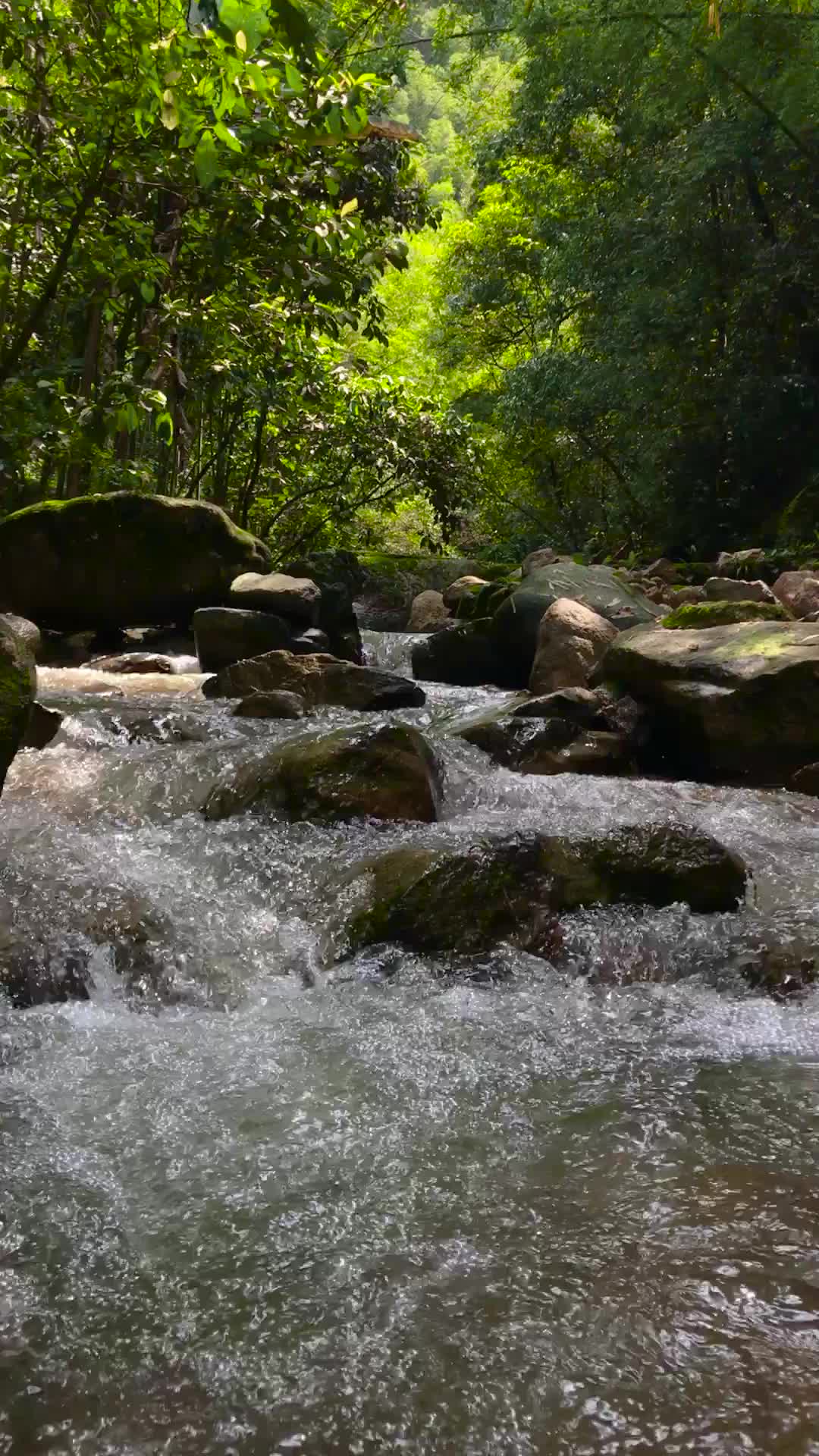 原生态风景区泉水视频的预览图