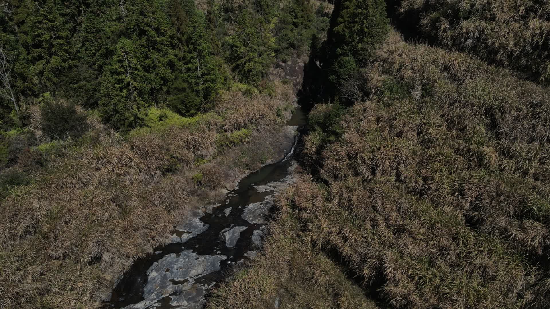 山涧小溪视频的预览图