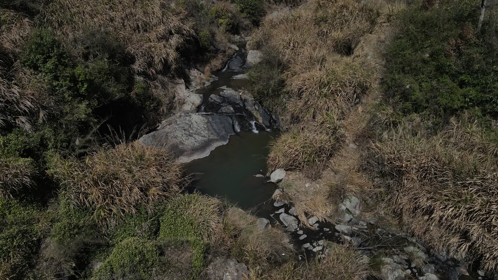 山涧小溪视频的预览图