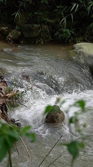 原生态山区溪水视频的预览图