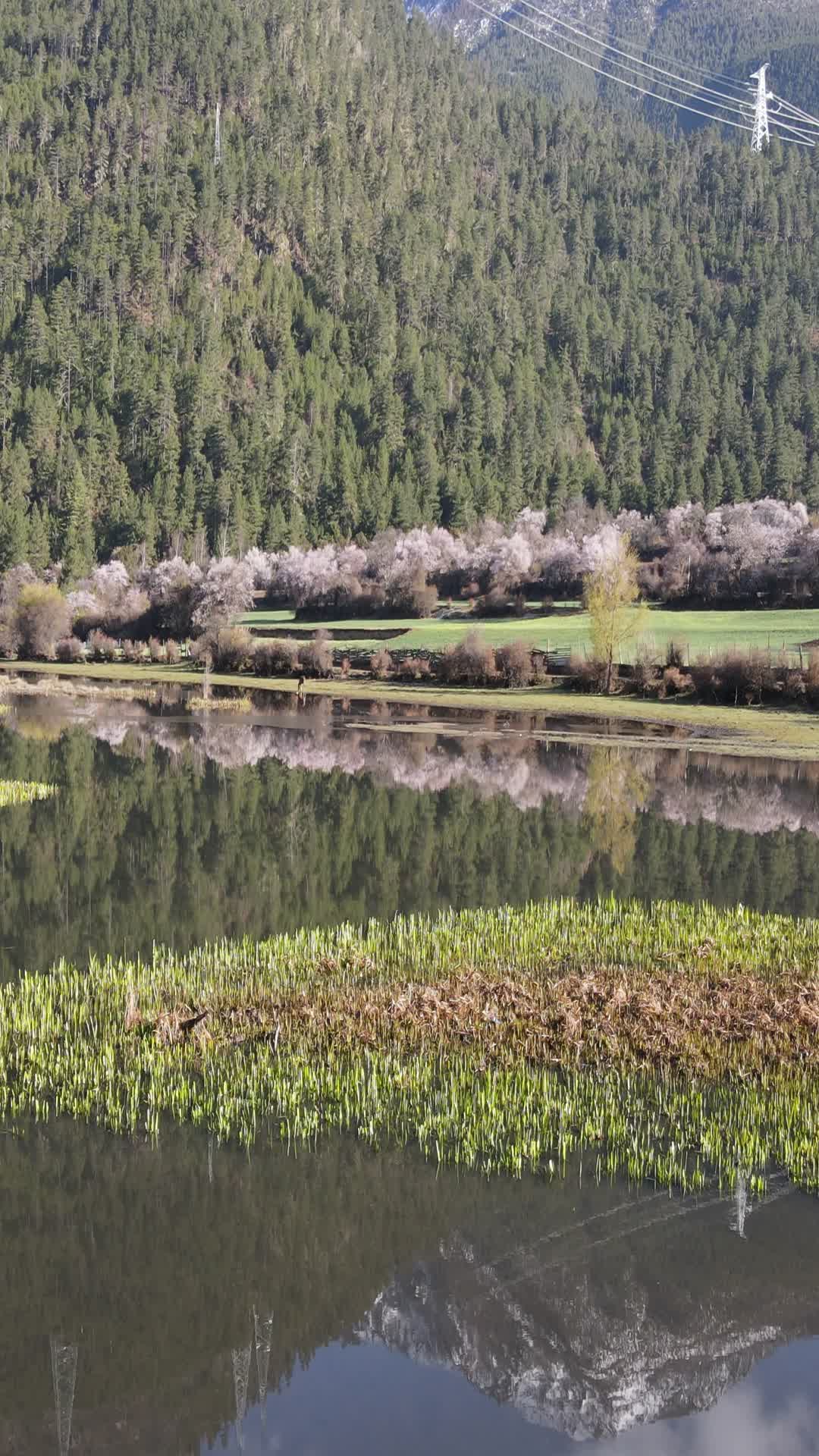 西藏嘎朗湖4k自然风光航拍竖拍视频的预览图