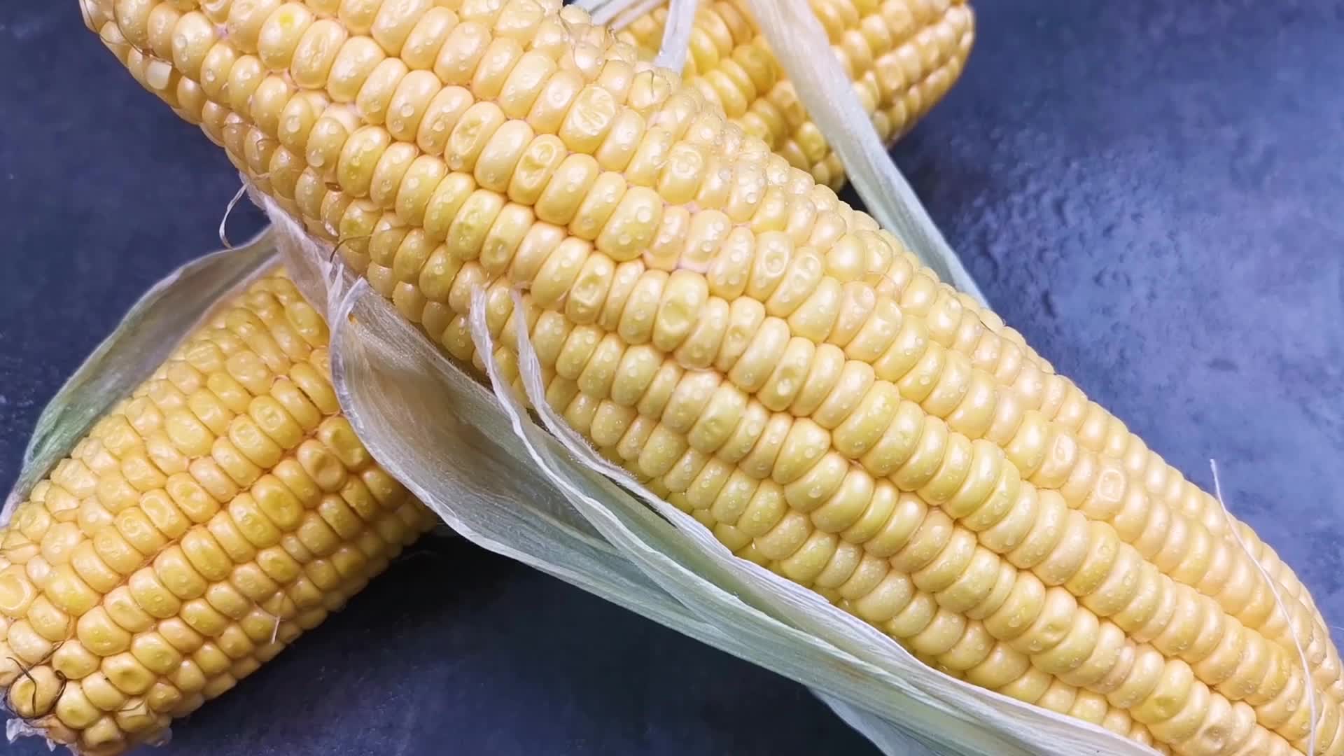 实拍视频玉米视频的预览图
