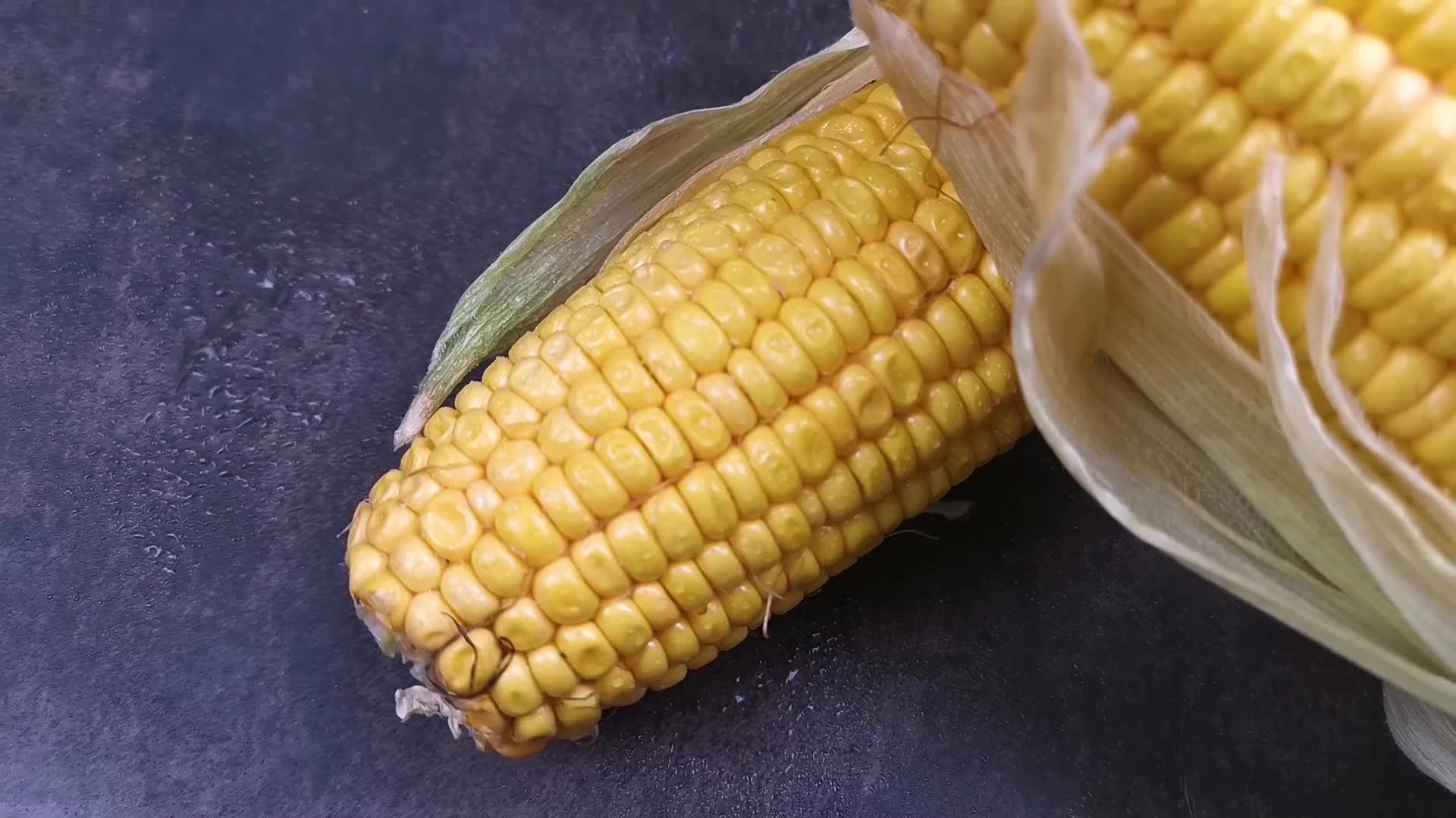 实拍视频玉米视频的预览图