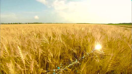 振兴农业科技数字片头结尾视频的预览图