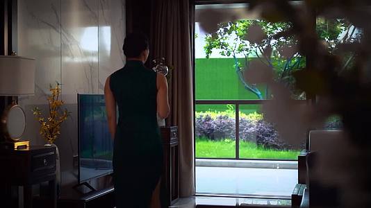别墅区豪中国风院子高层住宅视频的预览图