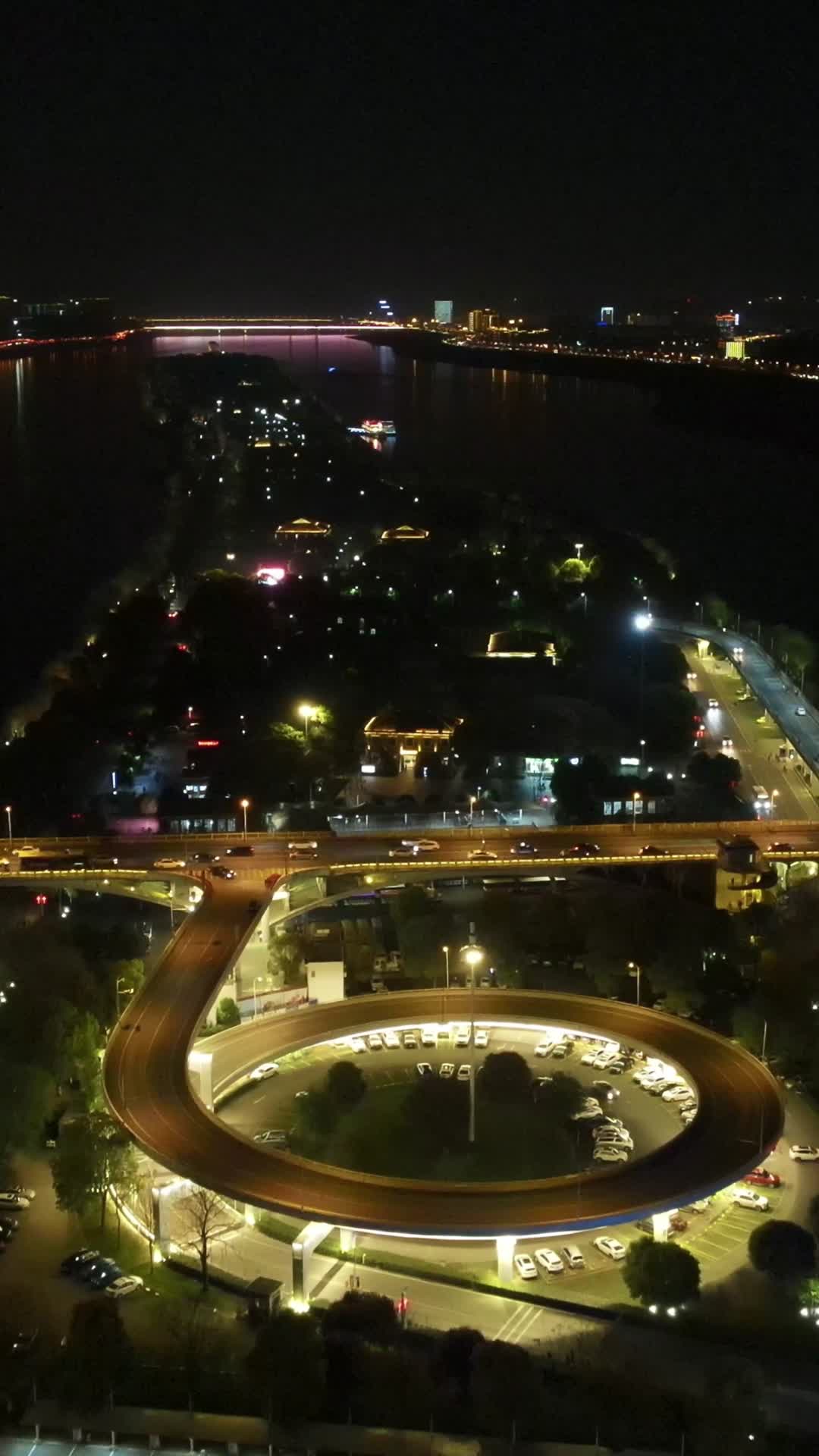 湖南长沙橘子洲夜景灯光竖屏航拍视频的预览图