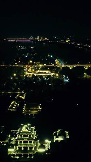 湖南长沙橘子洲夜景灯光竖屏航拍视频的预览图