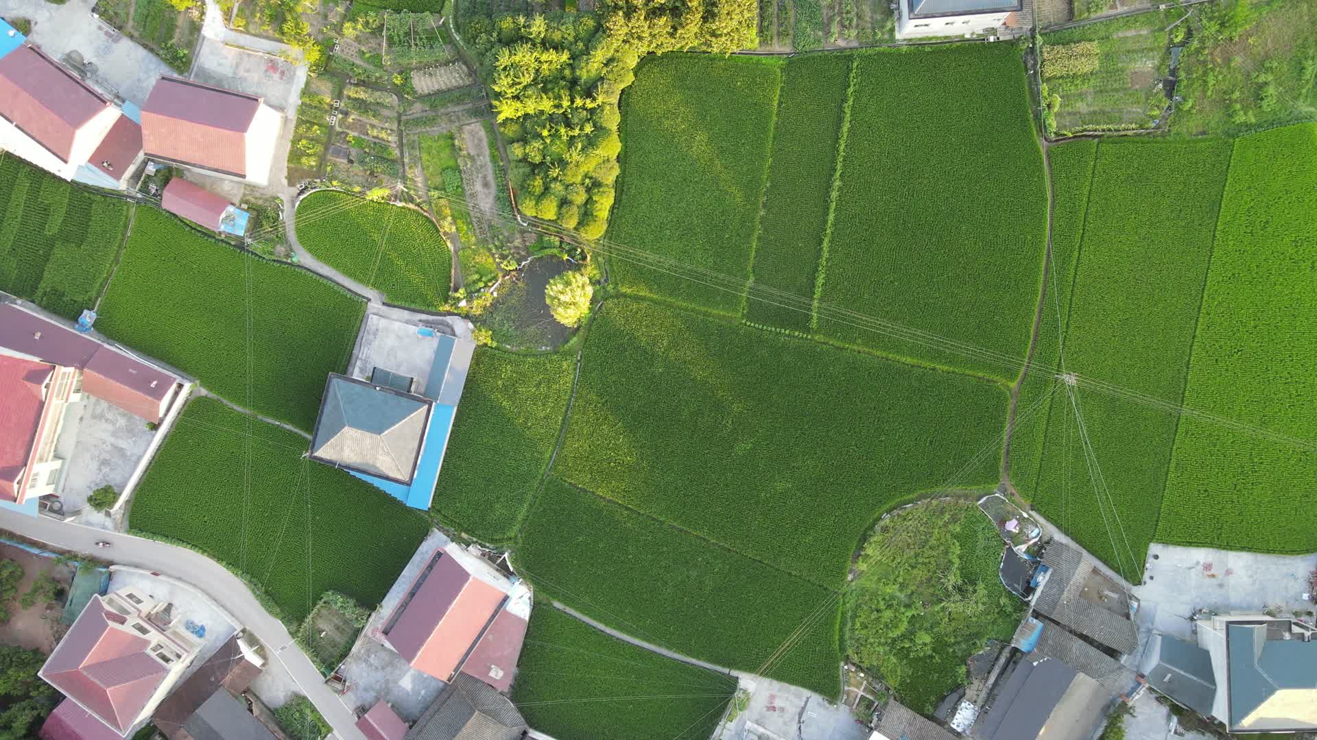 俯拍乡村田园风光美丽乡村视频的预览图