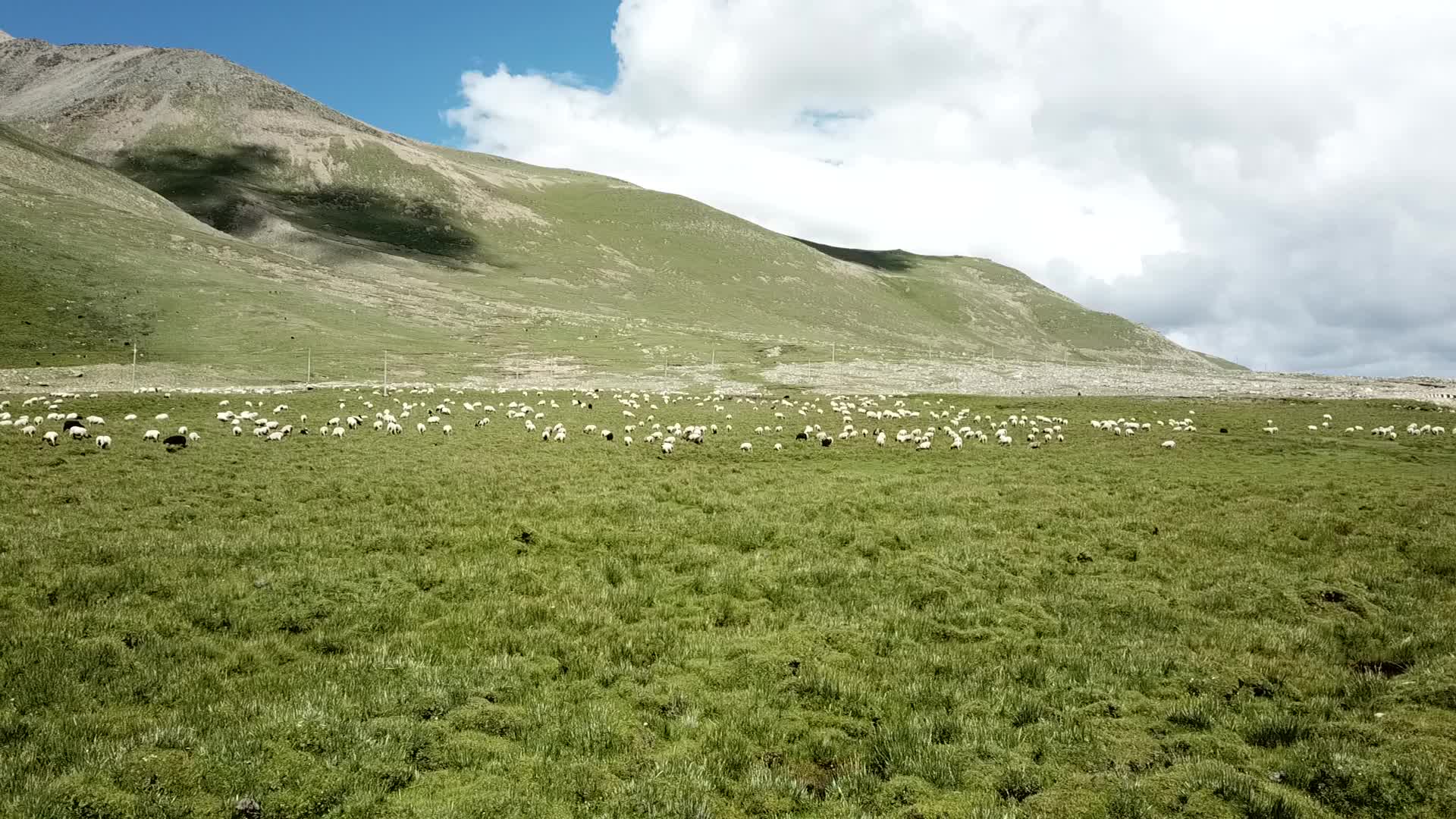 航拍西藏山河风景视频的预览图