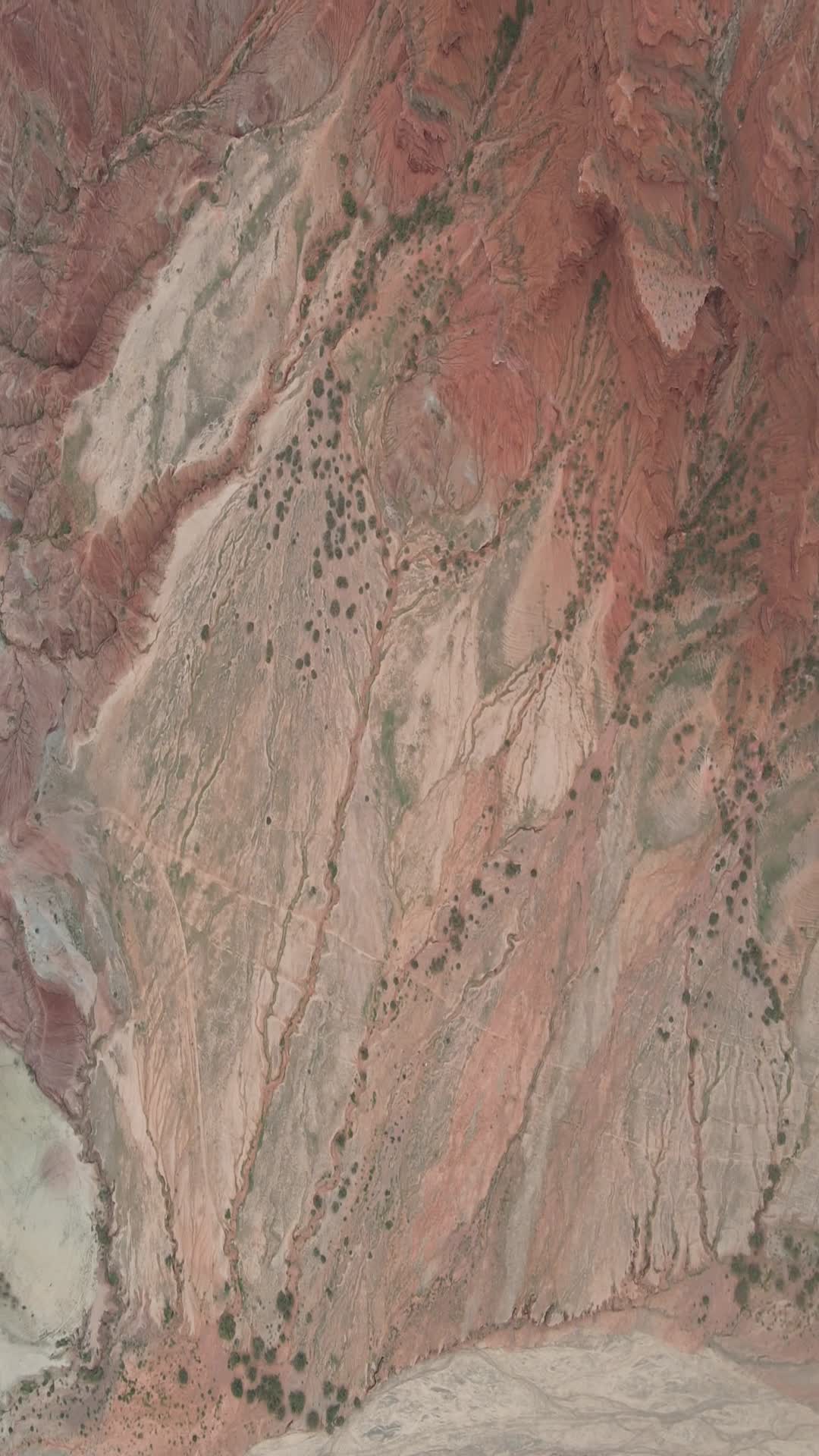 新疆南山牧场自然风光4k航拍竖拍视频的预览图