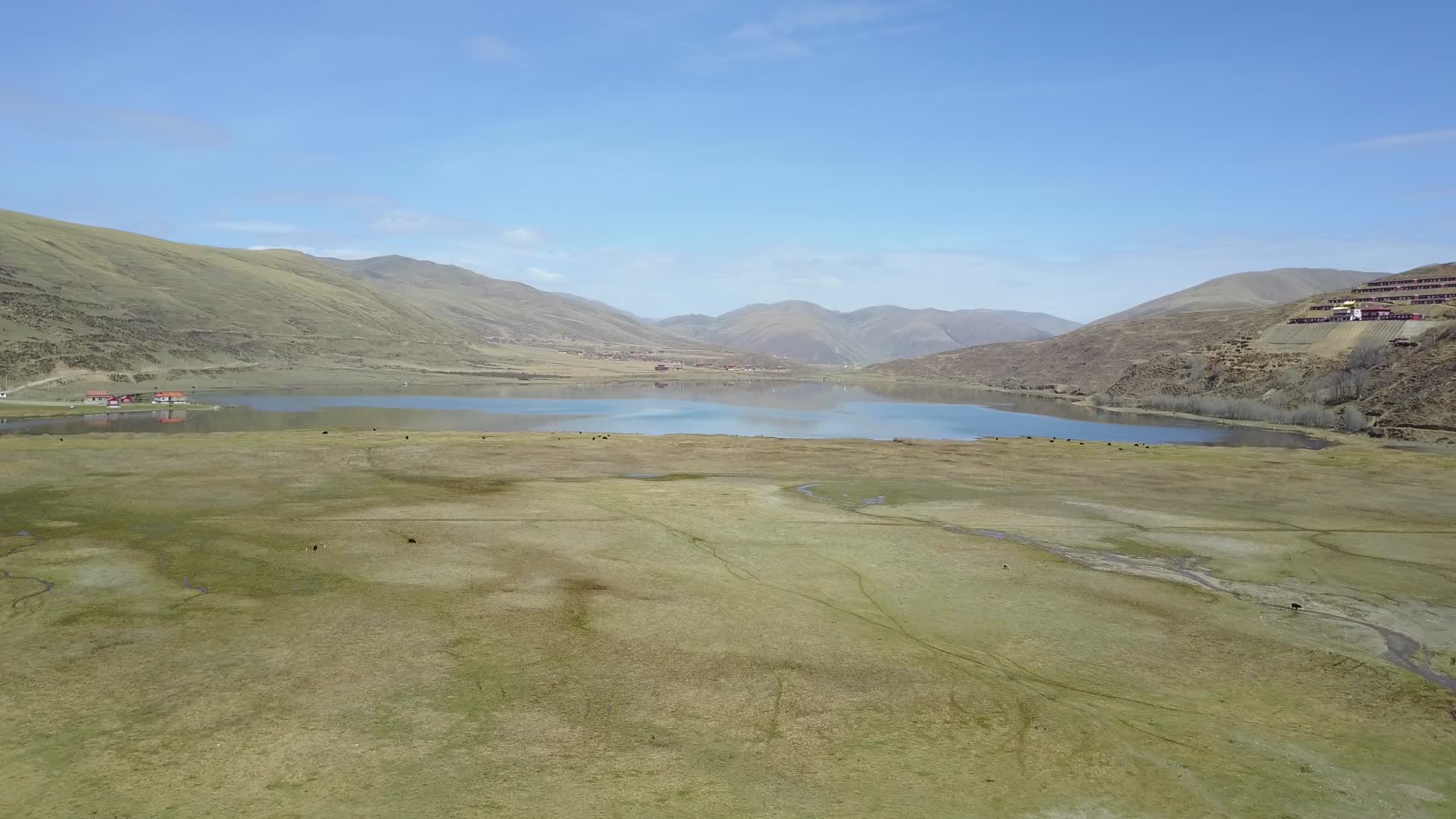 西藏大气航拍山水草地视频的预览图