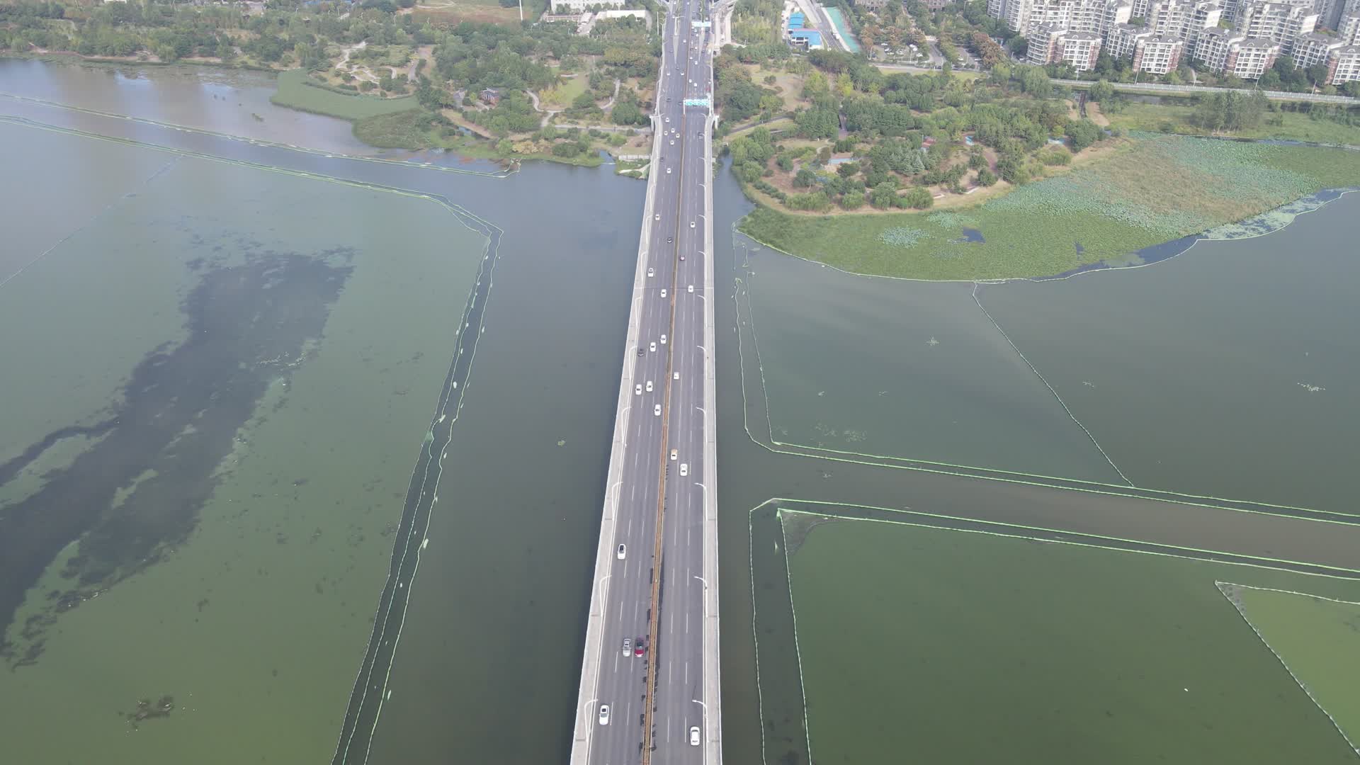 航拍湖北武汉沙湖大桥视频的预览图