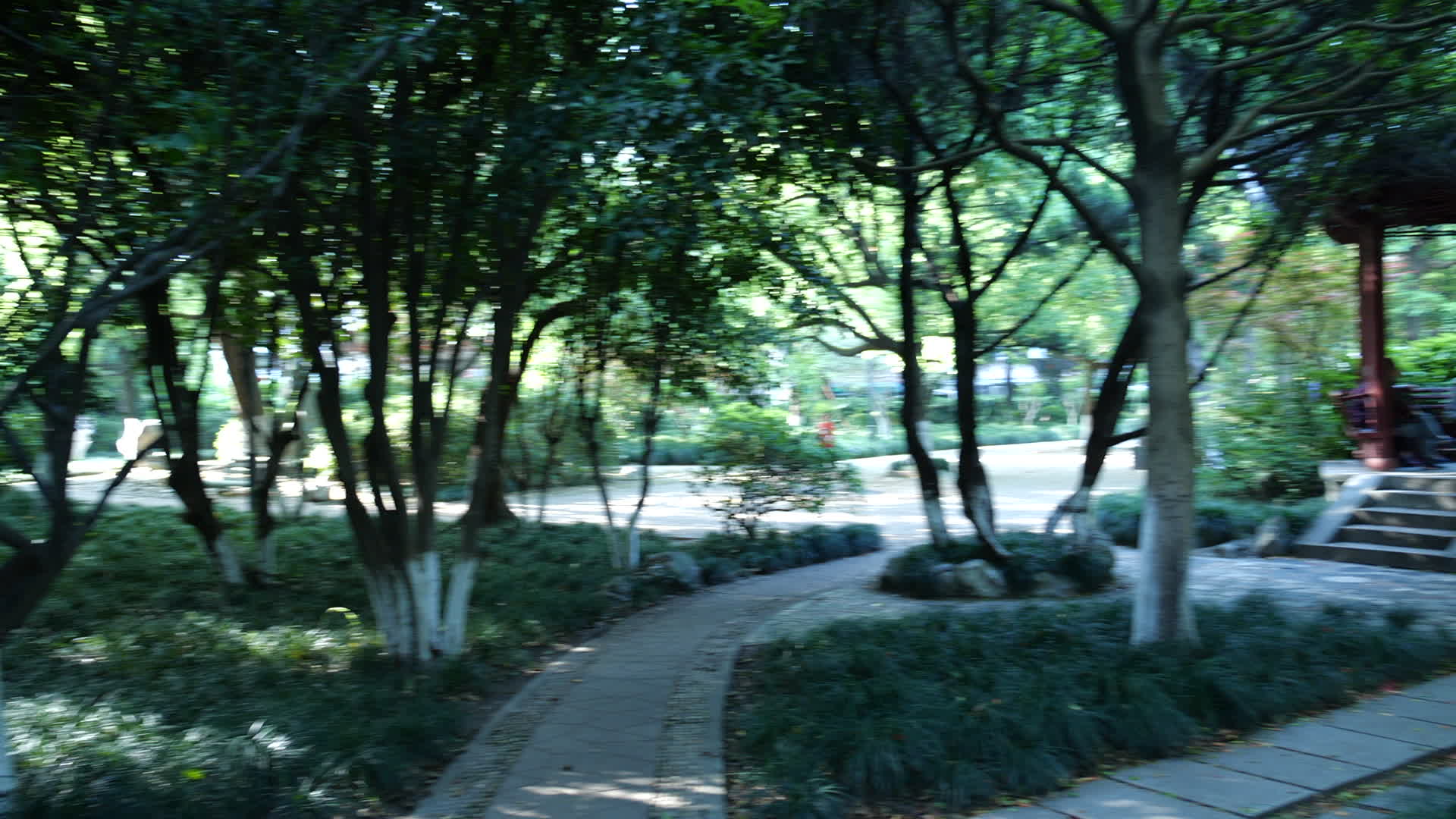杭州江干区濮家公园风景视频视频的预览图