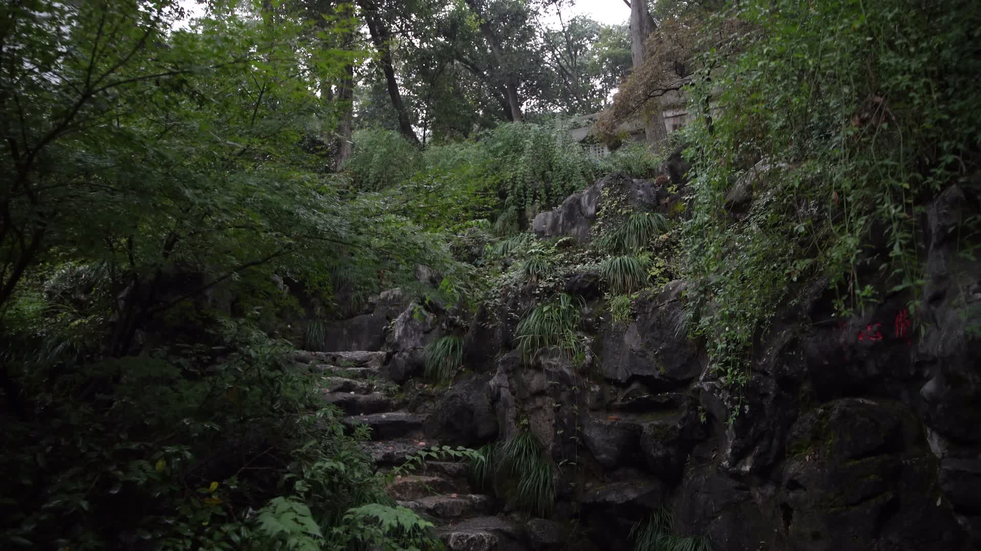 杭州西湖虎跑公园树林小路4K视频视频的预览图